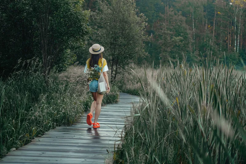 Peaceful natural setting representing contemplative practice and parasympathetic activation